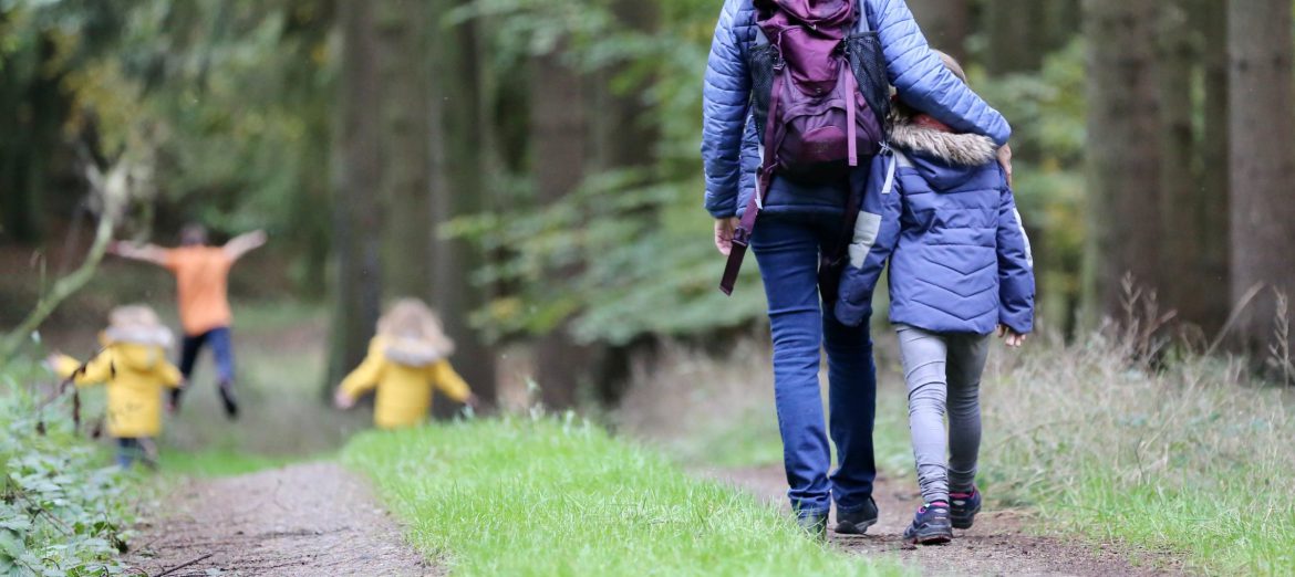 4 Dagen Wandelen in de Achterhoek en Overnachten in een Landhotel